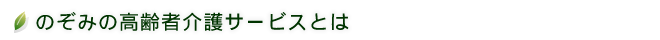 のぞみの高齢者介護サービスとは